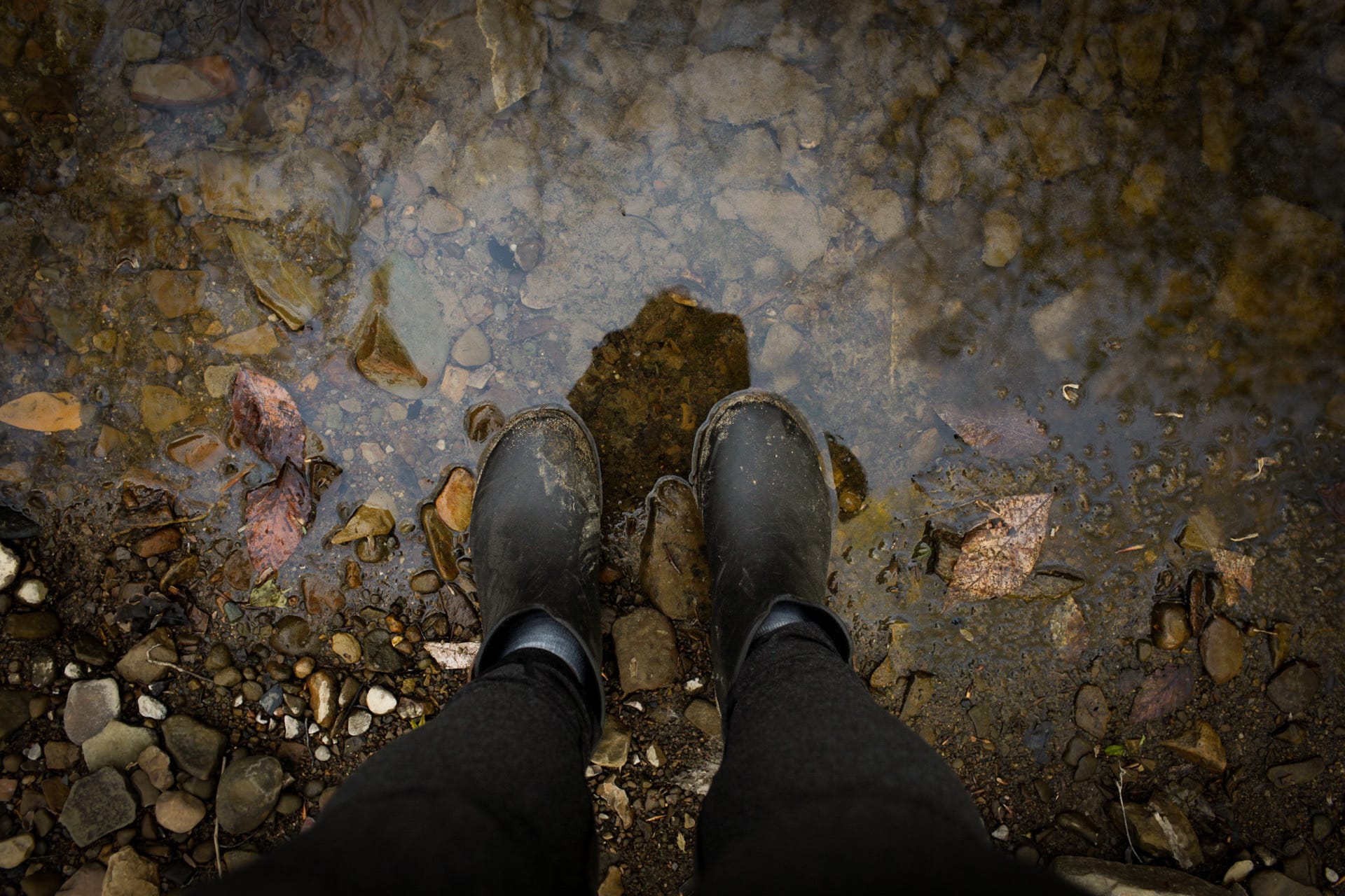 Looking down at my rain boots while I am standing in a shallow pool of water in the woods. It is muddy, rocky, and there are leaves around my feet.