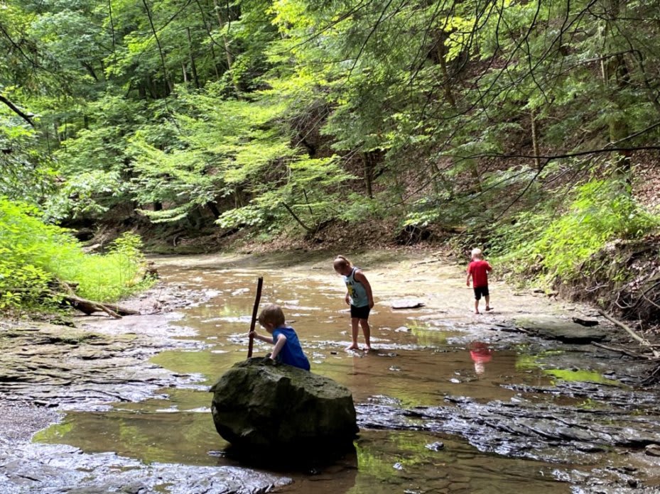 Three kids playing in a creek in the woods. Two boys, and one girl. The girl is wading in the water. One of the boys is sitting on a rock. The other boy is walking on the water's edge.