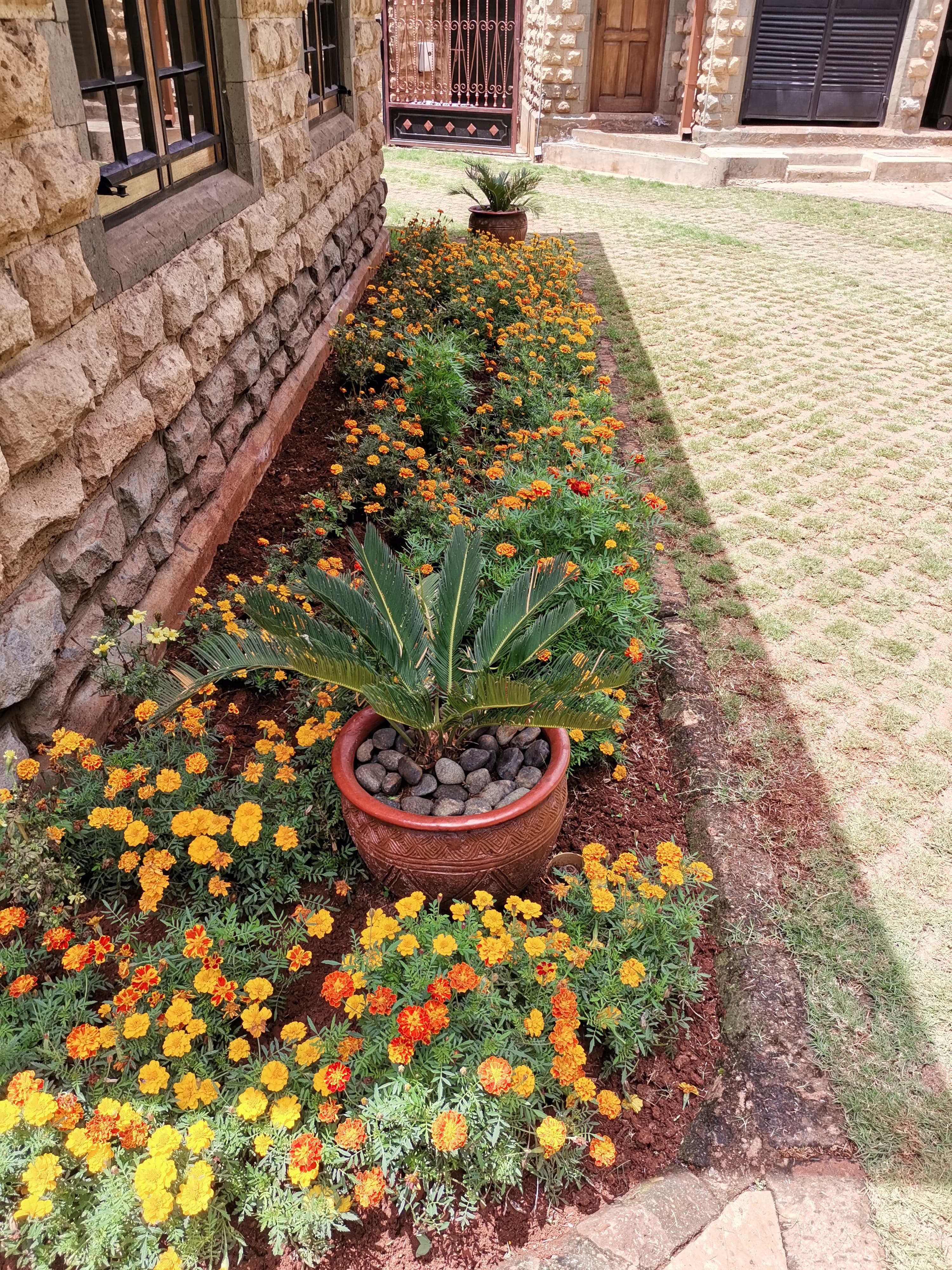 Landscape and Garden Plants