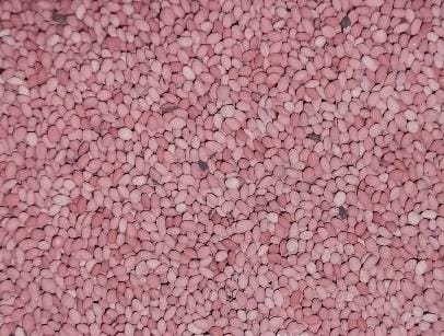 Kikuyu Grass Seeds 250g