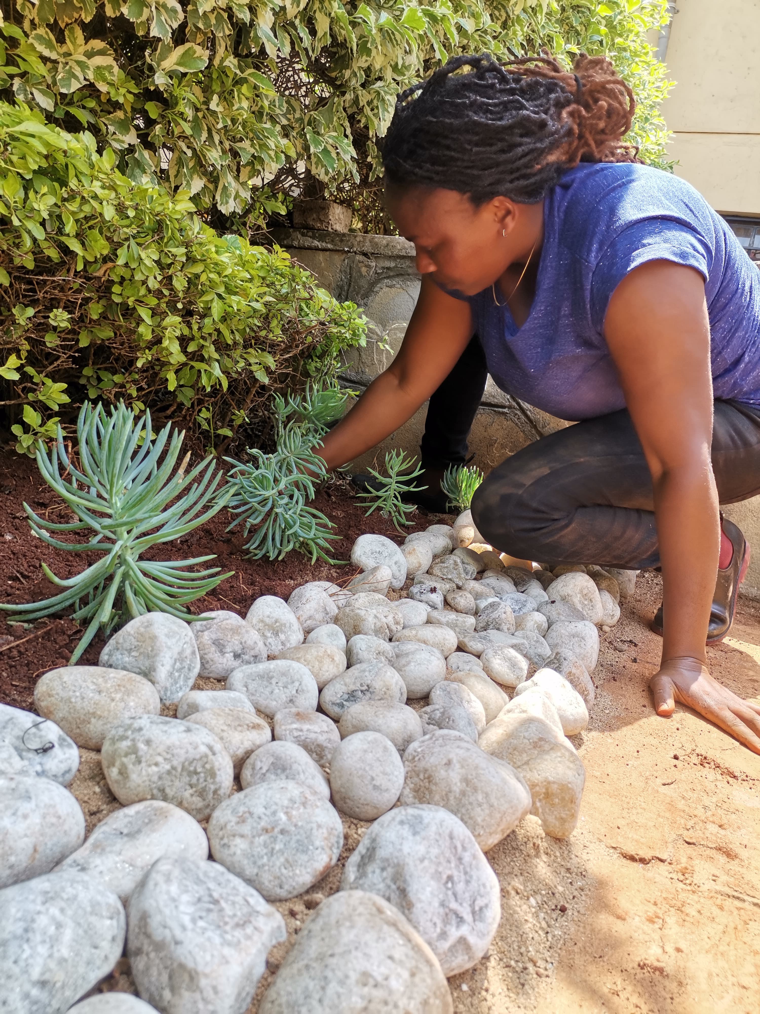 River Stones & Plants Landscaping