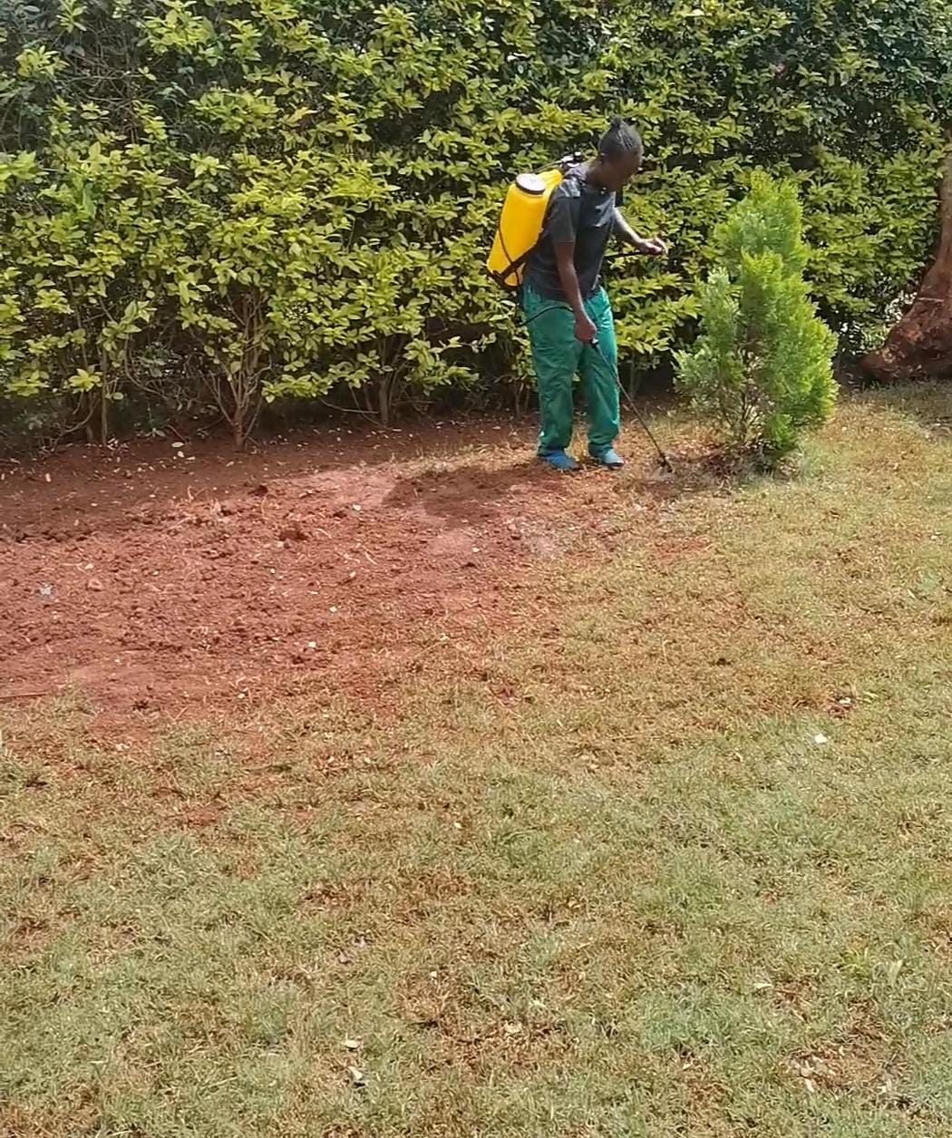 Spraying Non-Selective Herbicide