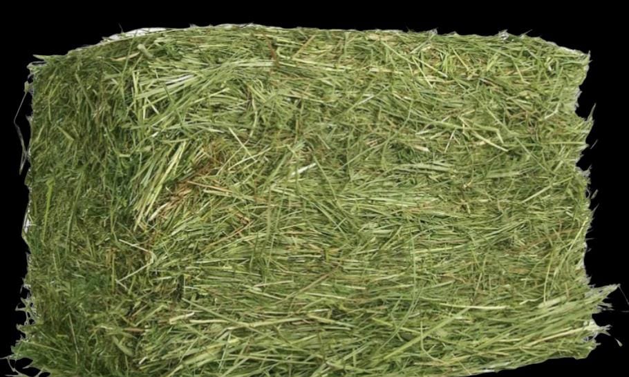 Green Hay