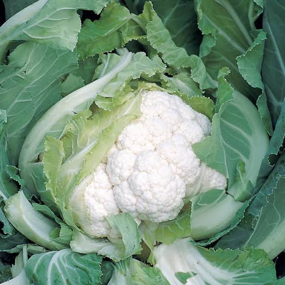 Cauliflower 1KG