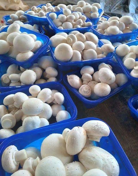 Mushrooms (Per Punnnet)