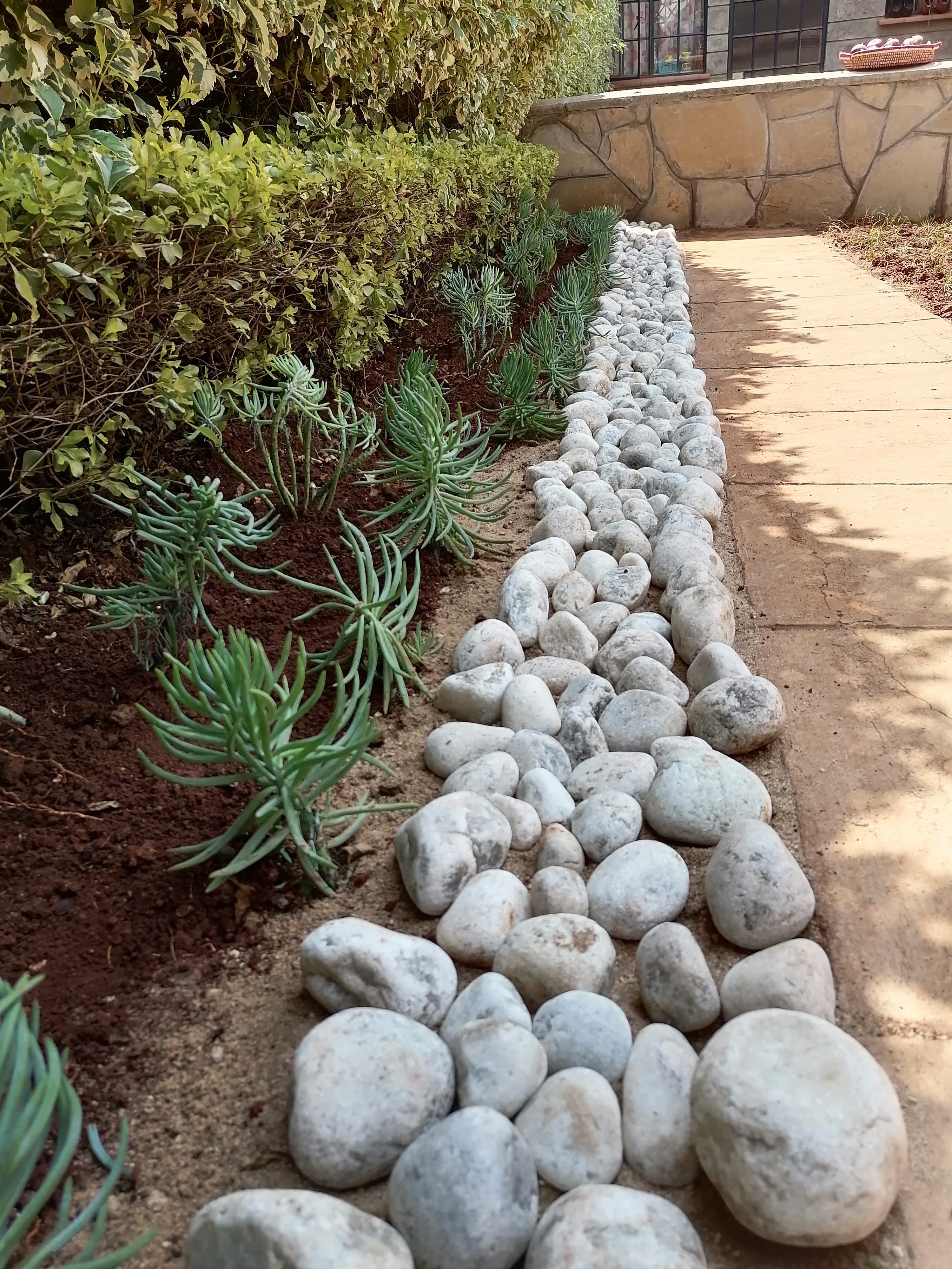 Natural River Stones & Plants