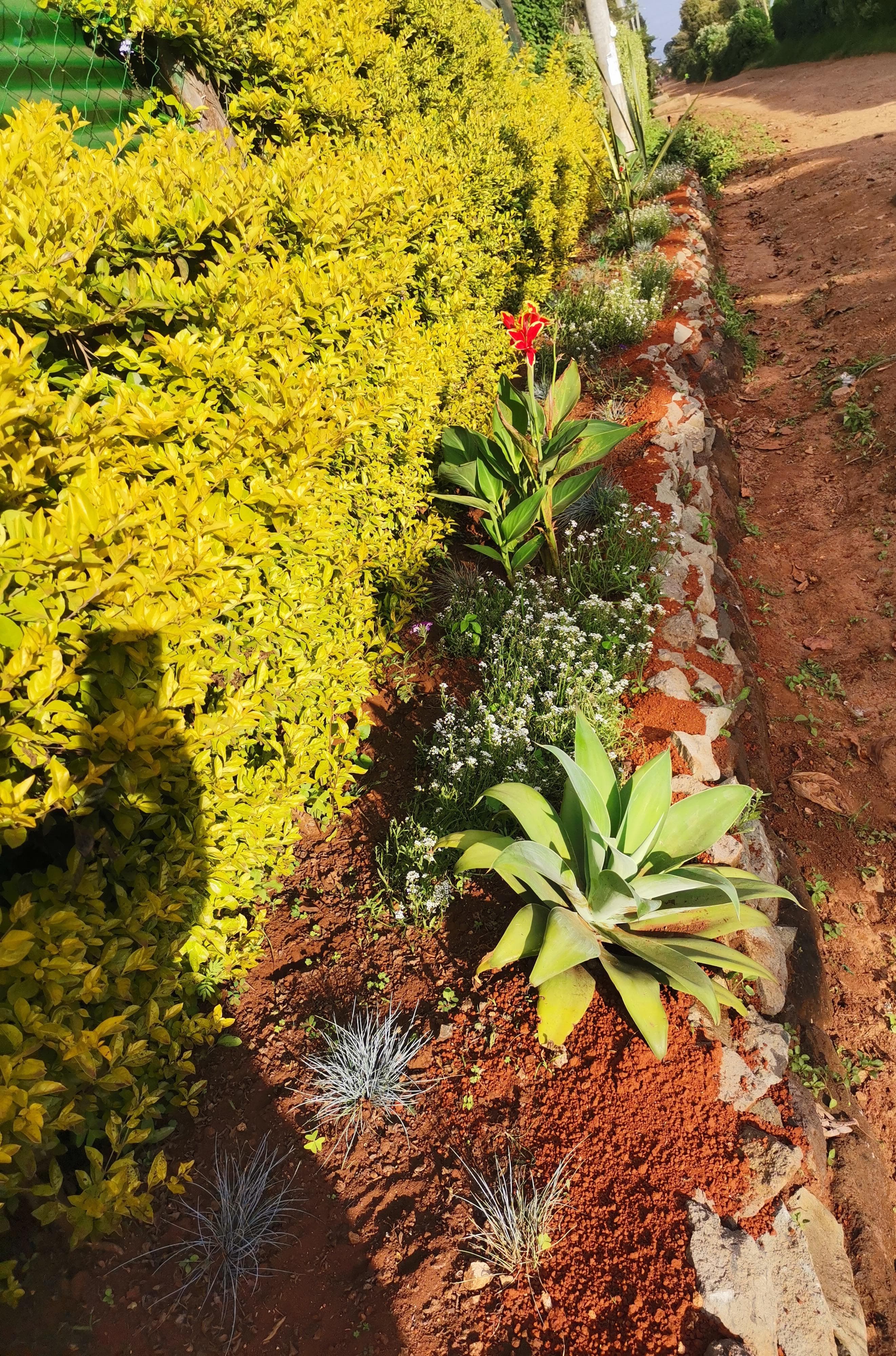 Retainer Wall (Mazeras Design)