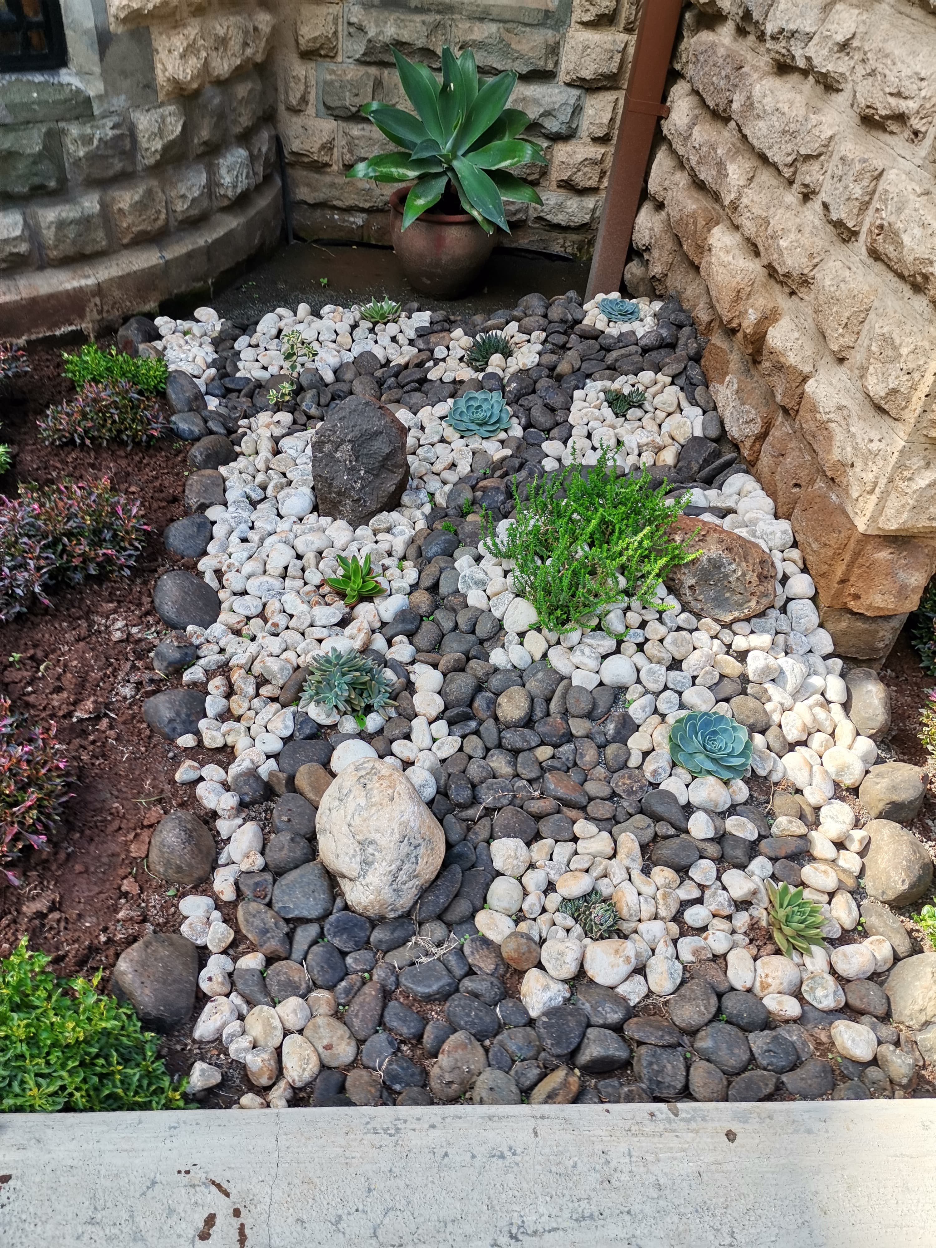 Rock Garden Design