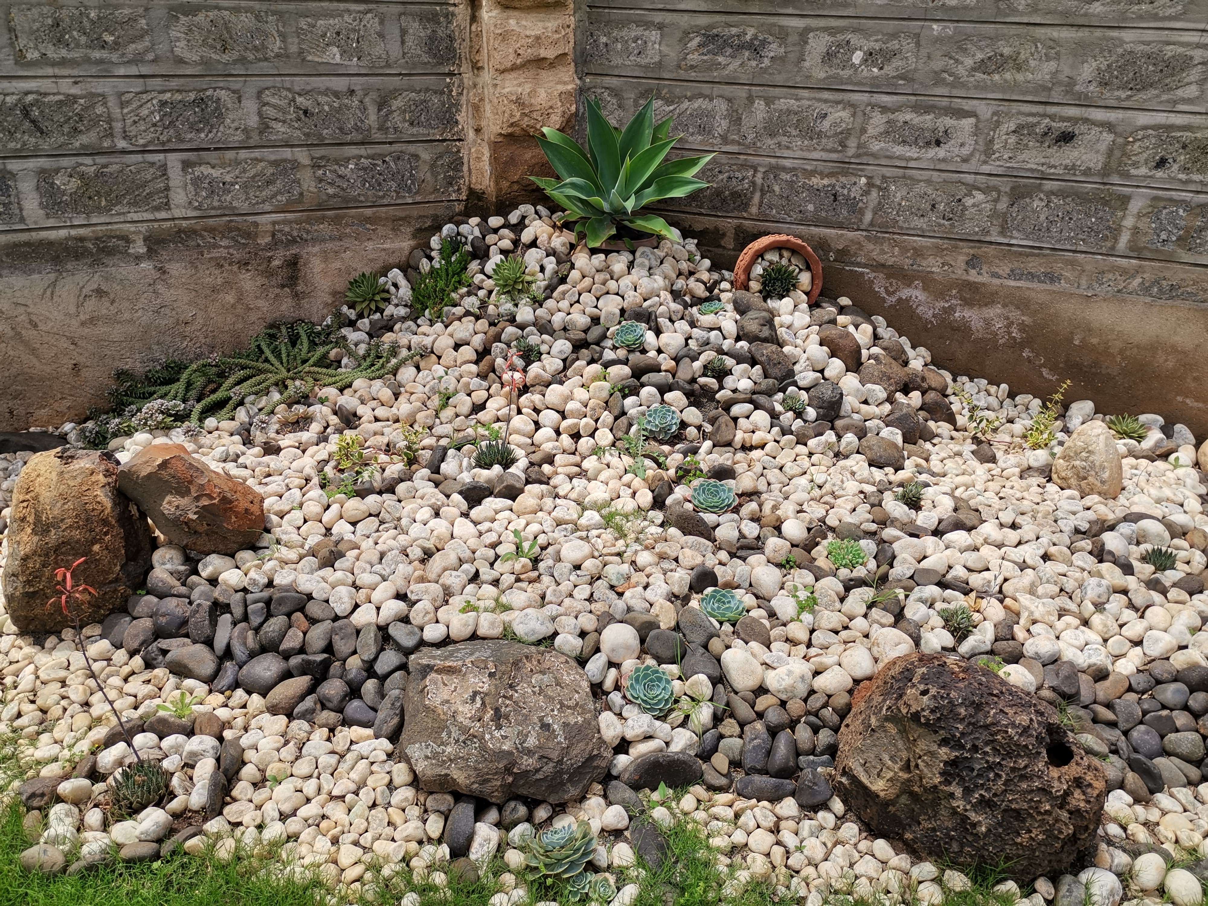 Rock Garden Design