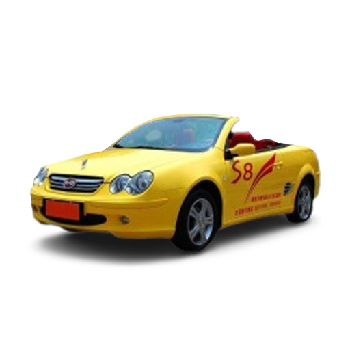 BYD S8