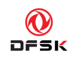 Dfsk logo