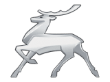 GAZ logo