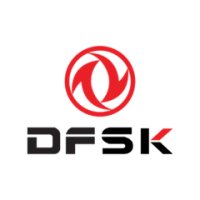 Dfsk logo