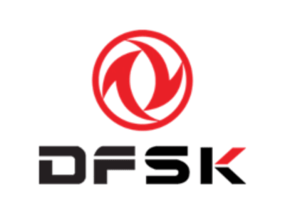Dfsk logo