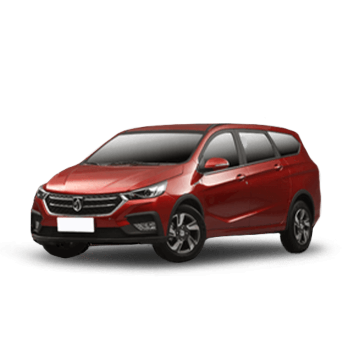 Baojun 310W