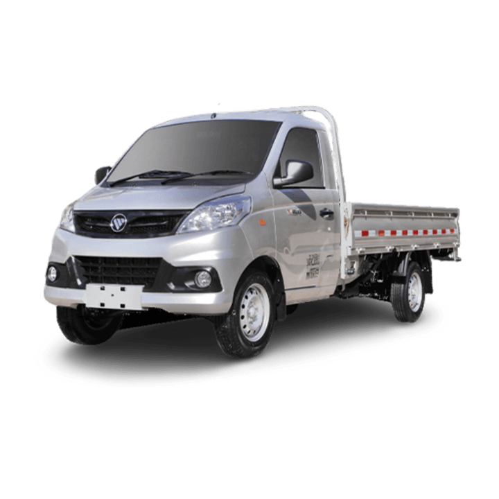 Foton V