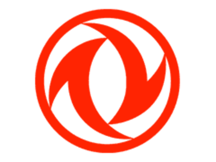 Dongfeng T1