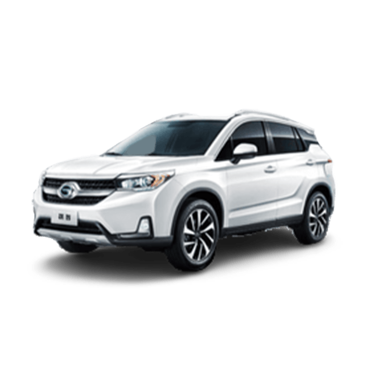 GAC Qizhi 2018