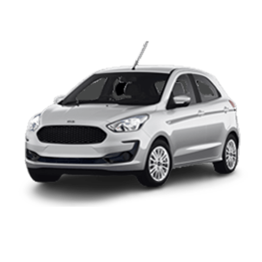Ford Figo battery