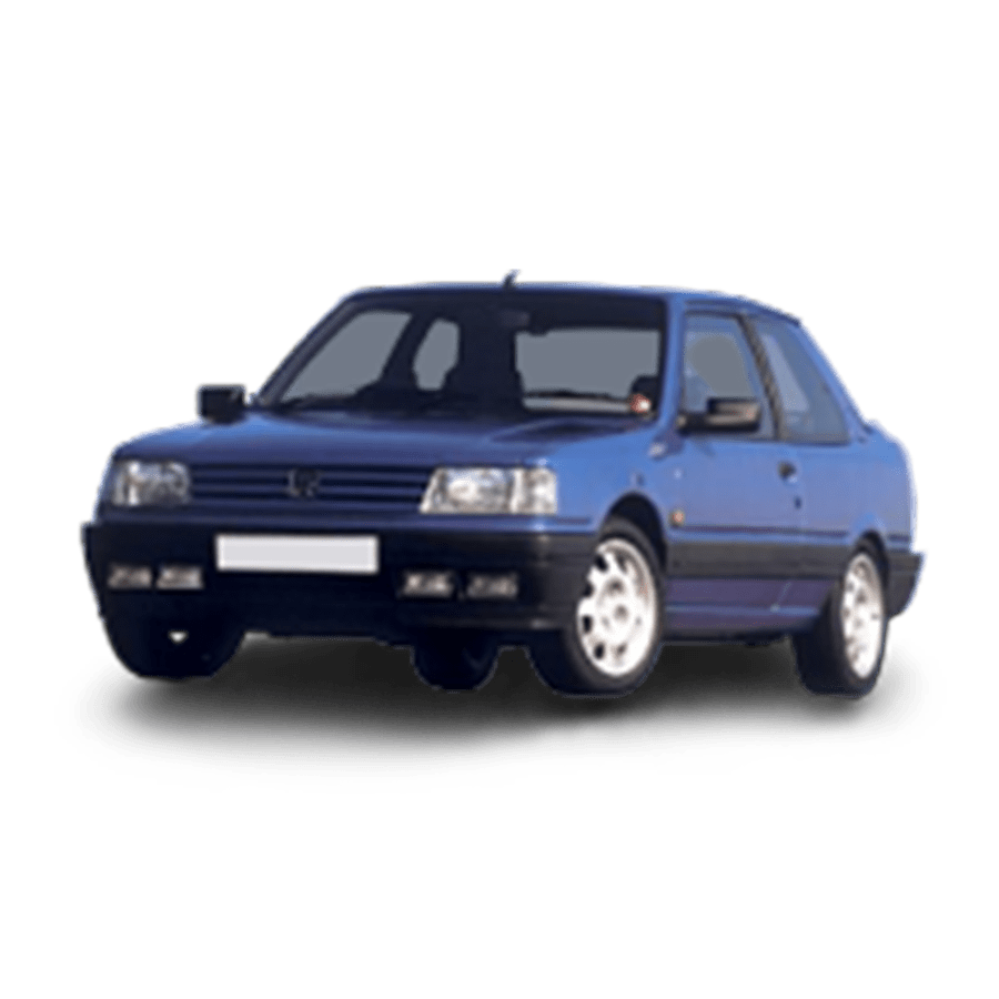 Peugeot 309 battery