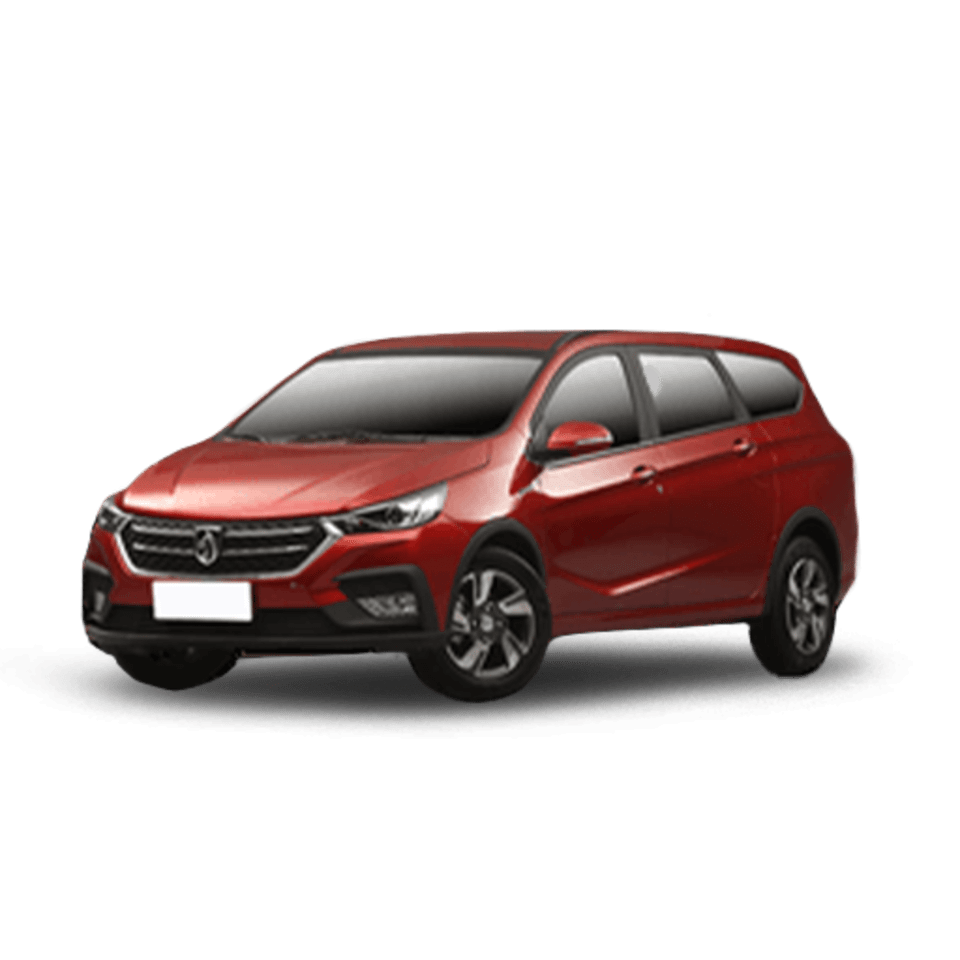 Baojun 310W