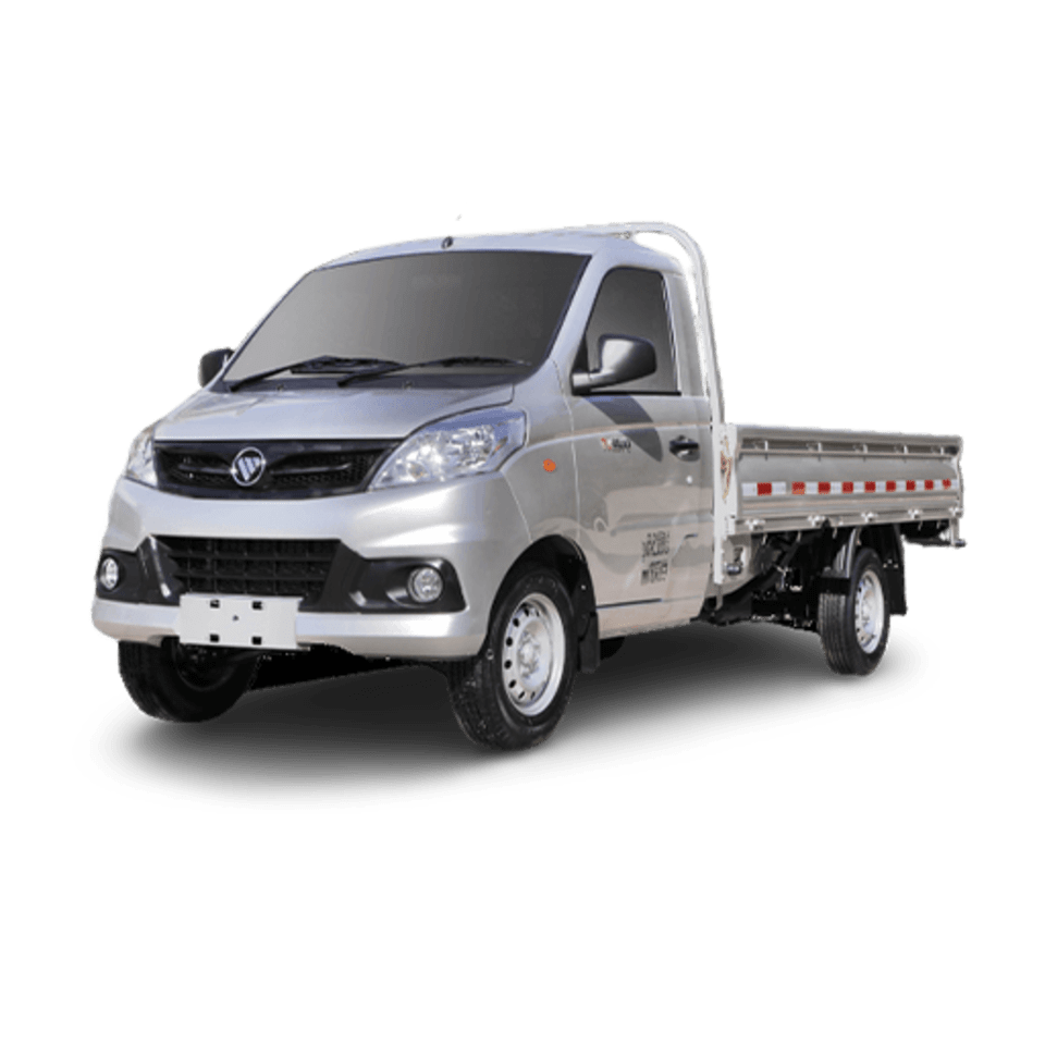 Foton V