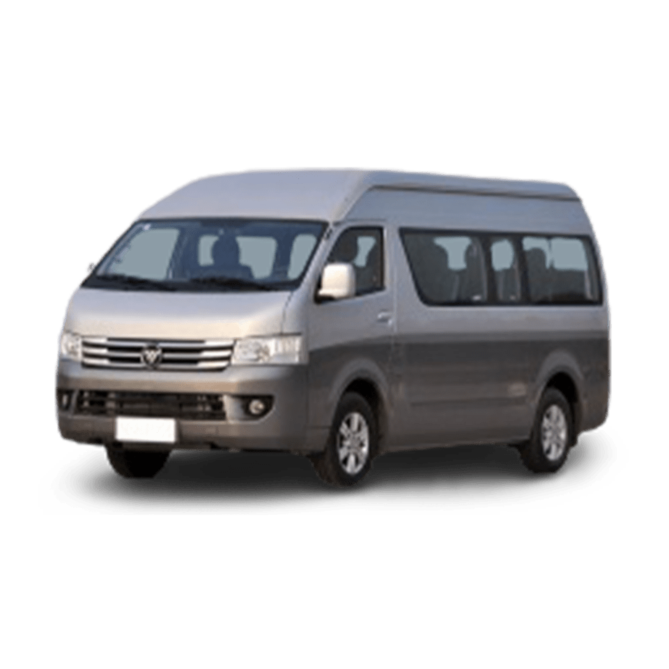 Foton MPX S
