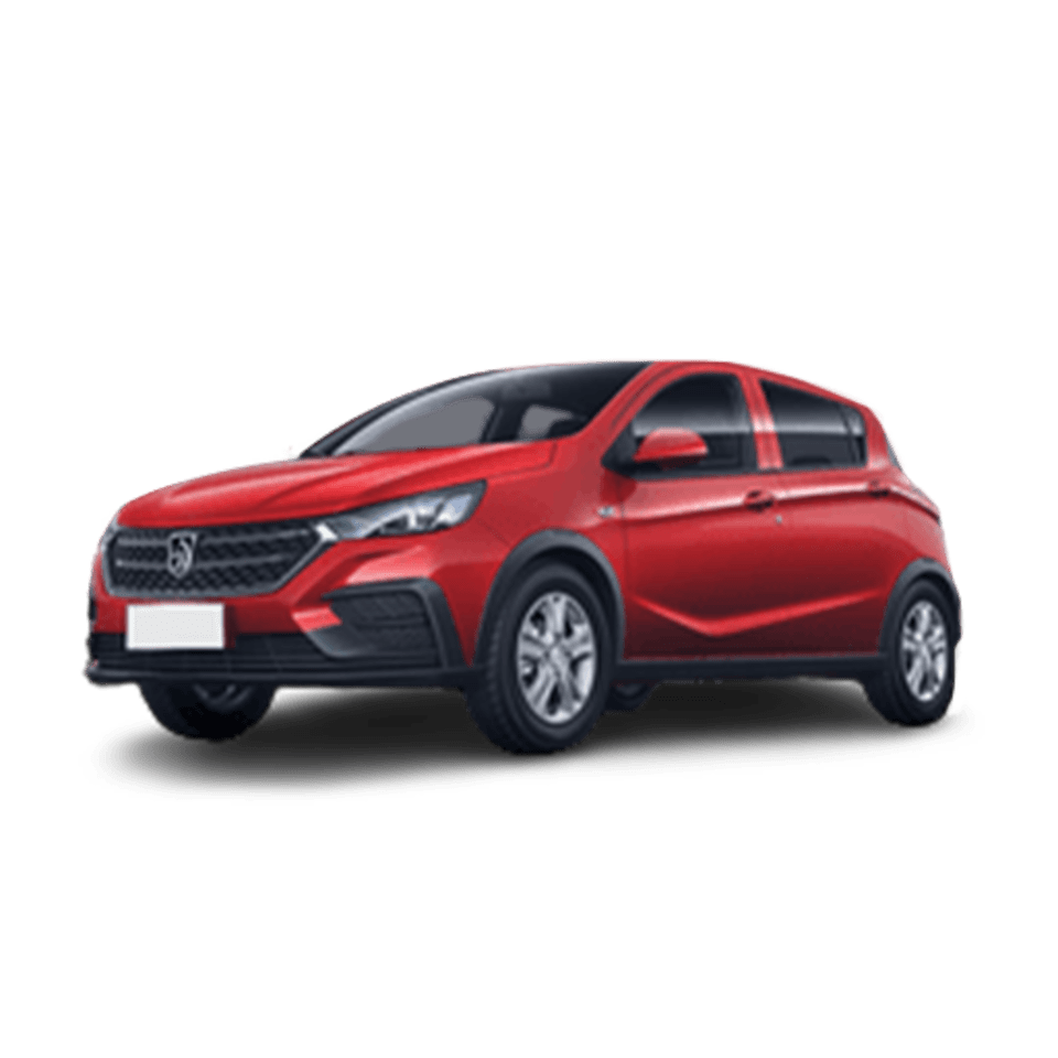 Baojun 310
