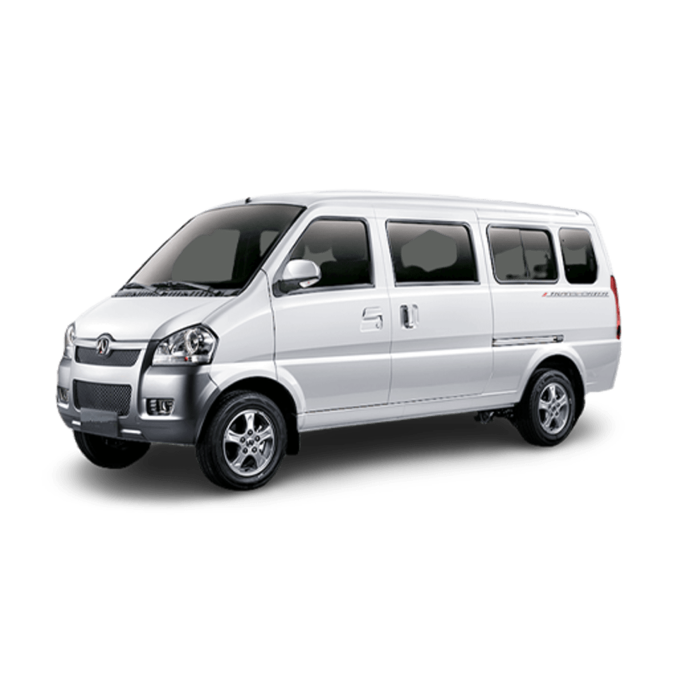Weiwang 307
