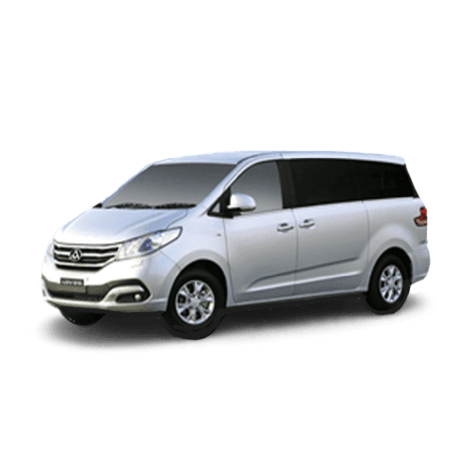 LDV G10