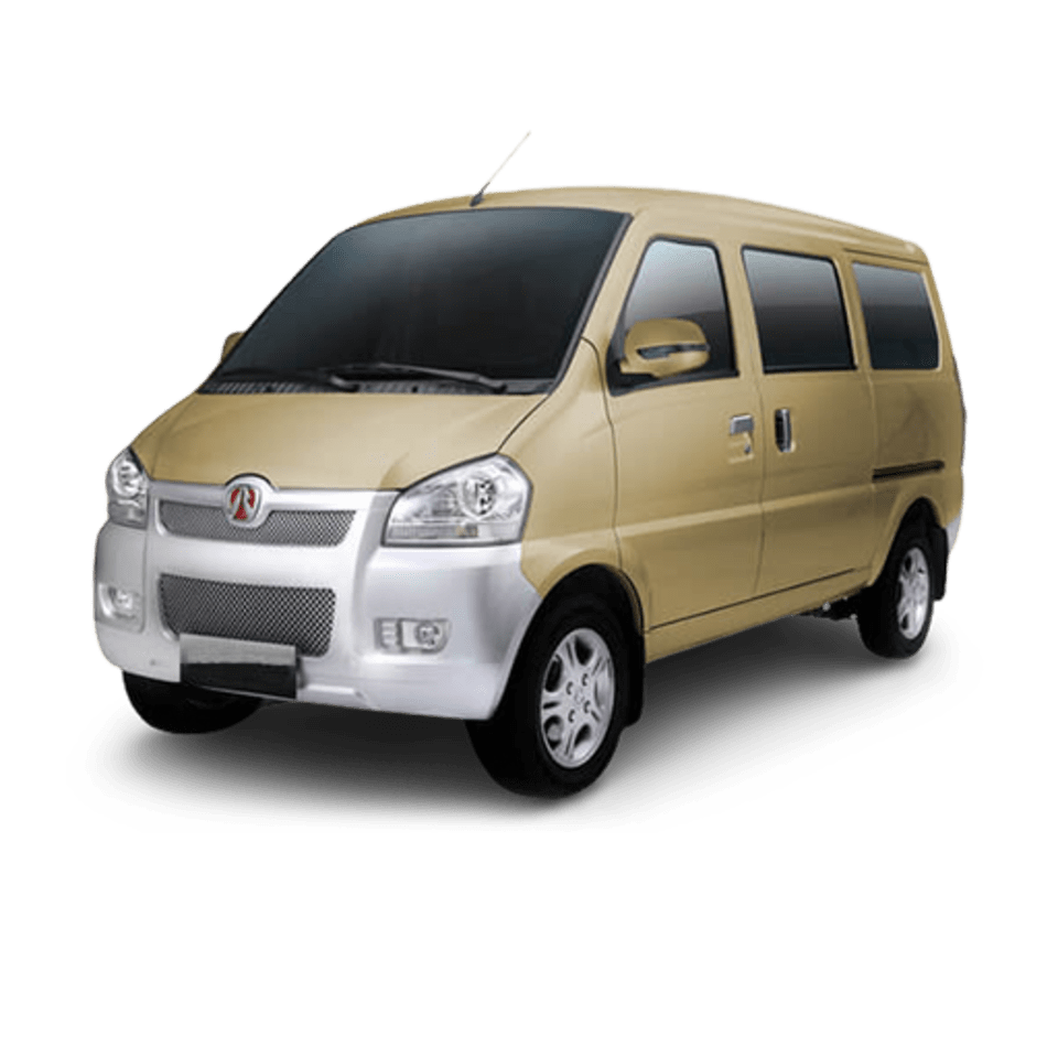 Weiwang 306