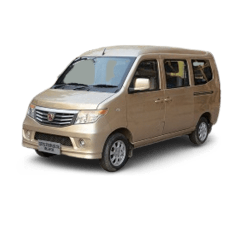 Weiwang 205