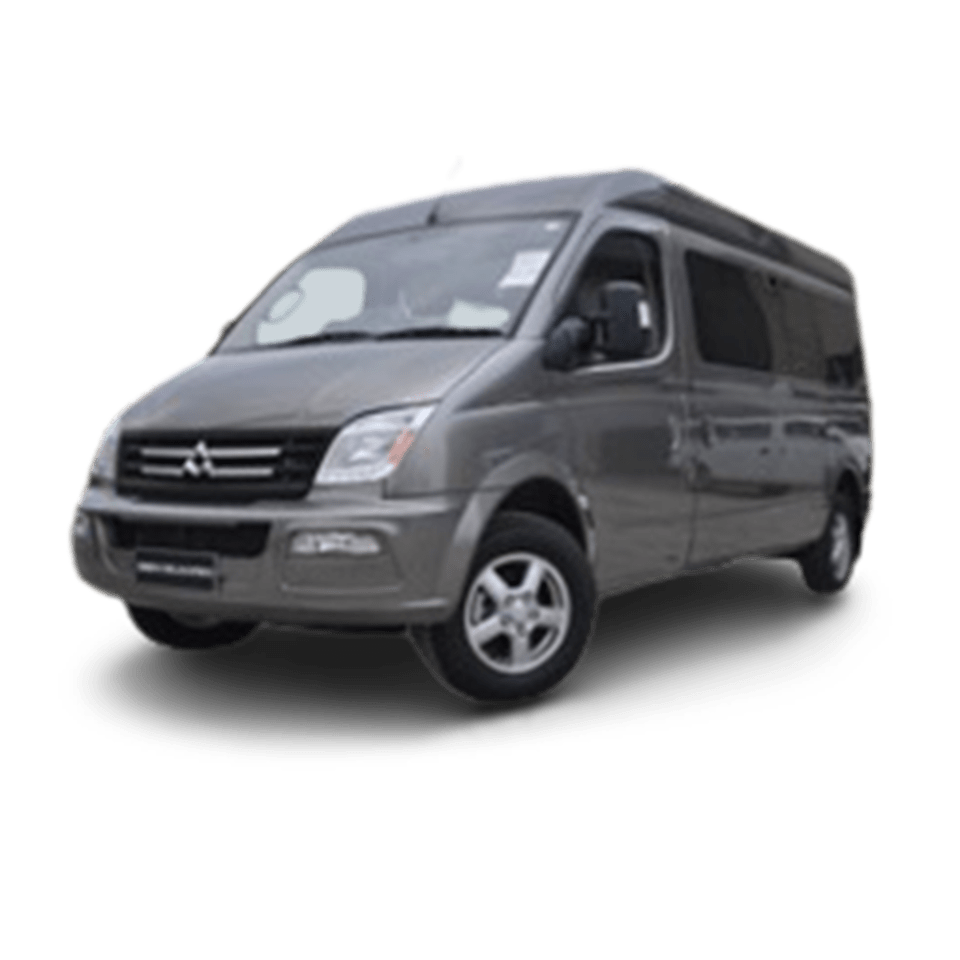 LDV V80