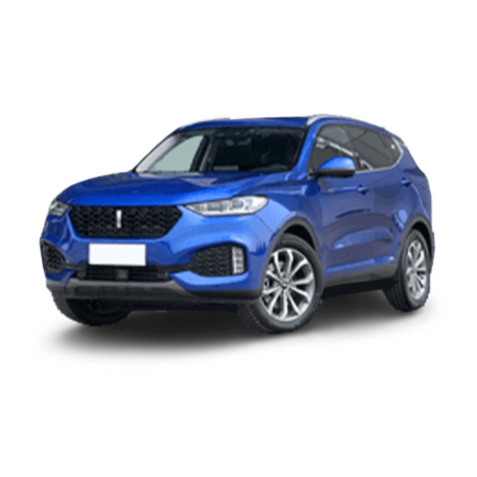 Wey VV6
