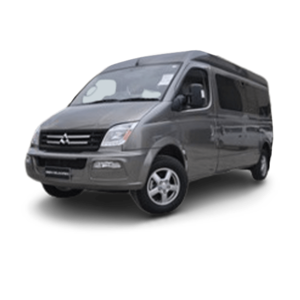 Maxus V80