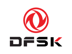 Dfsk logo