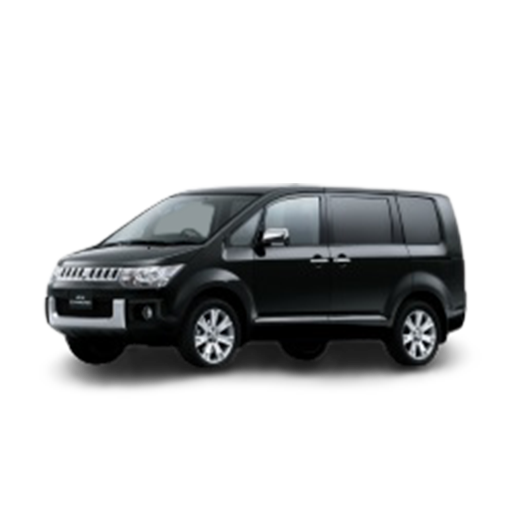 Delica Van car