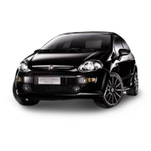 Punto Evo car