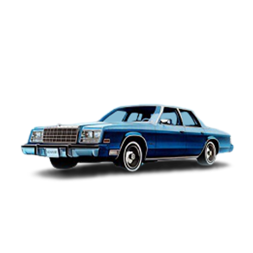 Newport car