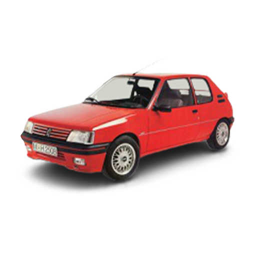 205 car