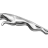 Jaguar logo