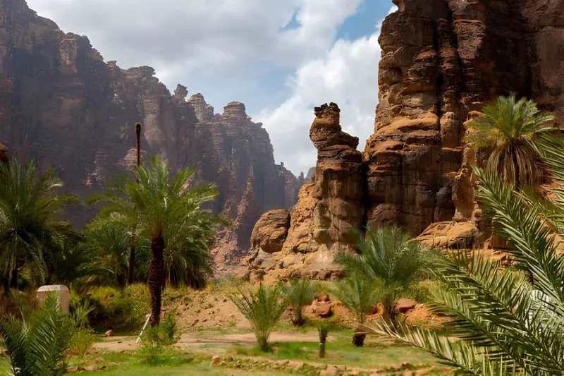 How is the climate in Saudi Arabia?