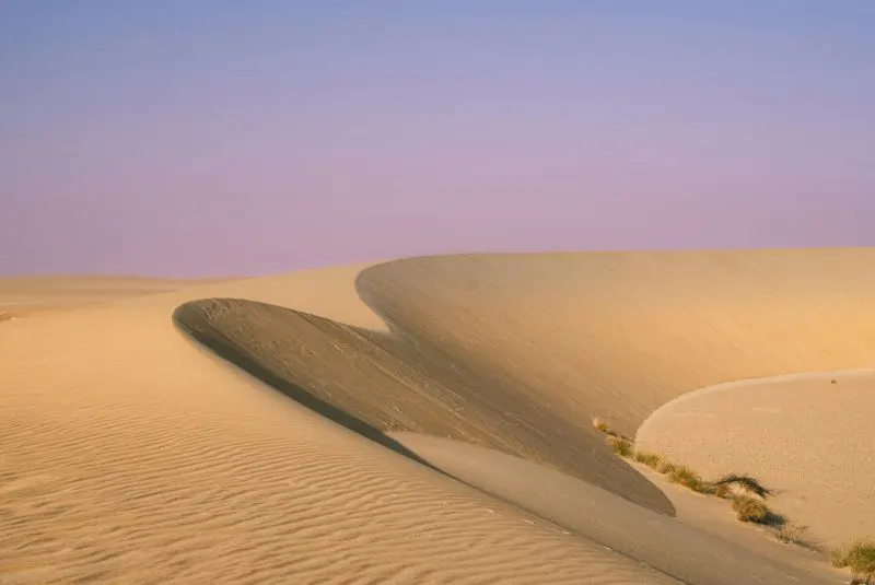 dune bashing saudi
