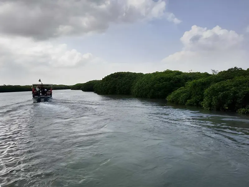 Farasan Islands Saudi Arabia