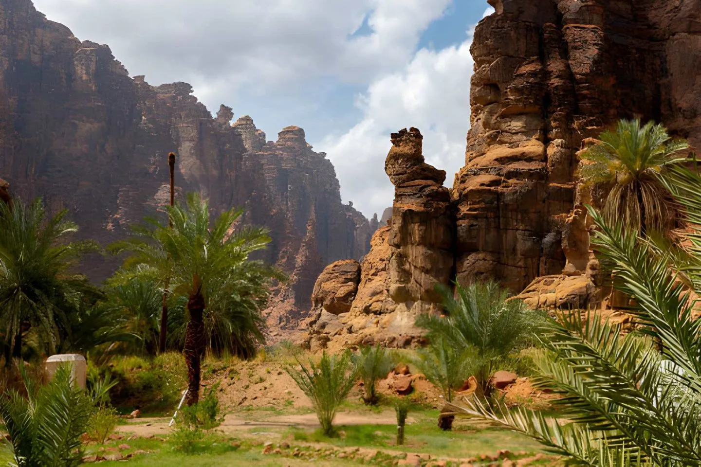 How is the climate in Saudi Arabia?