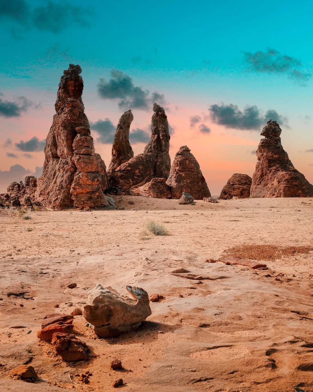 Saudi Tour Saudi Tour