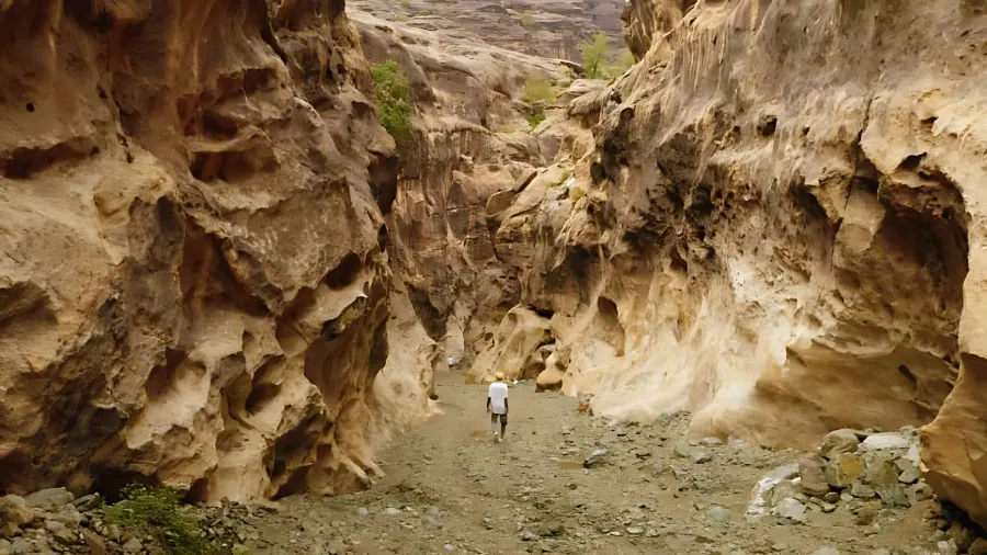 Wadi Lajb: Saudi Arabia’s Hidden Gem of Natural Beauty Wadi Lajb: Saudi Arabia’s Hidden Gem of Natural Beauty