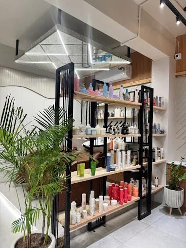 Ambellish Salon 3