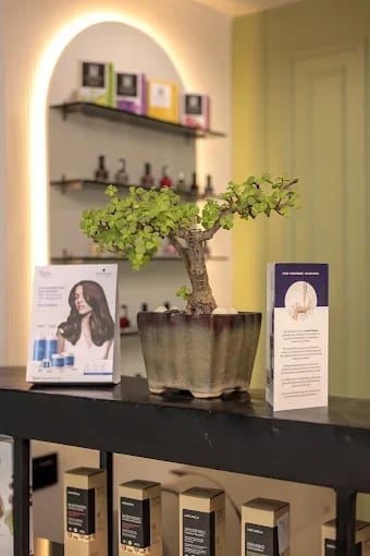 Meba Salon 4