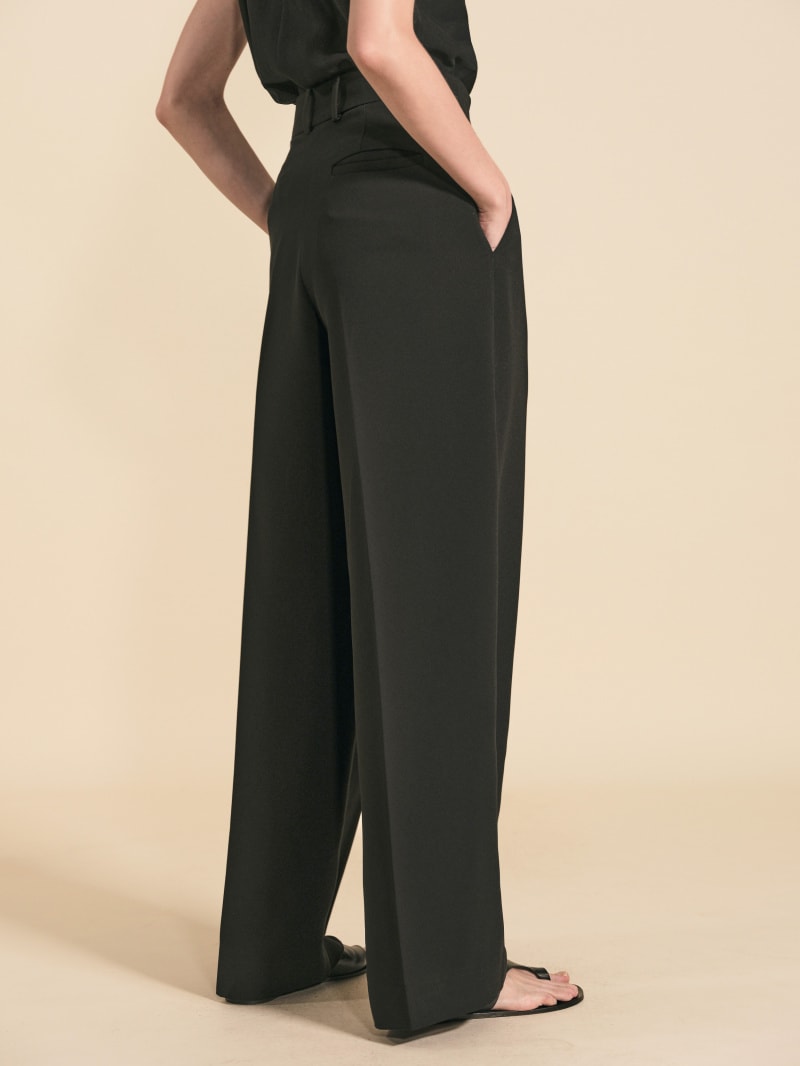 IN GOOD COMPANY - BOSTON Triacetate Pants